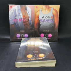 ซีรีส์สายลับจับแอ๊บ 3 เล่ม