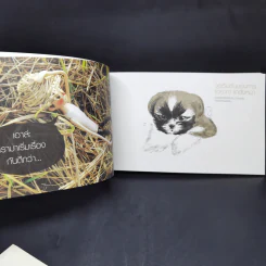 กุ้ยช่ายผจญภัย The Comic Vol.1-2 - อรพิม วรโสพรรณ รูปที่ 14