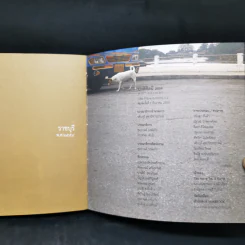 Art Normal 75 พื้นที่แสดงงานจาก 124 ศิลปิน เพราะทุกบ้านคือแกลเลอรี ทุกที่คือหอศิลป์ รูปที่ 15