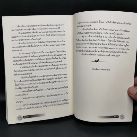 นิยายจีนแปล เต้าหู้ไซซี 3 เล่มจบ - Yidujunhua รูปที่ 11