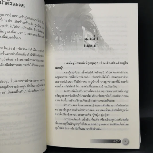 นิยายจีนแปล เต้าหู้ไซซี 3 เล่มจบ - Yidujunhua รูปที่ 8
