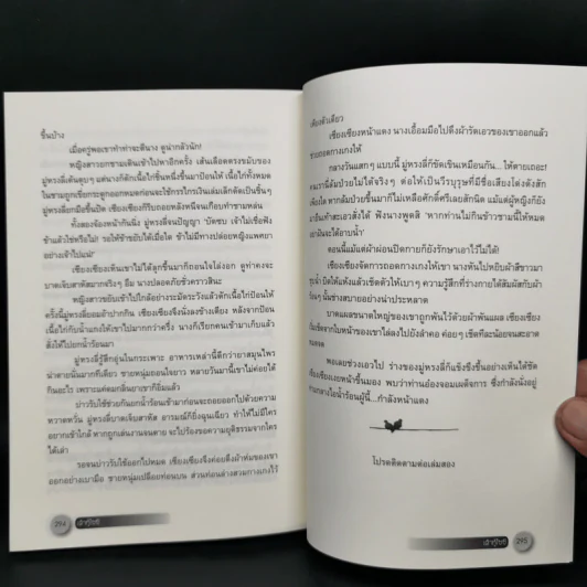 นิยายจีนแปล เต้าหู้ไซซี 3 เล่มจบ - Yidujunhua รูปที่ 9