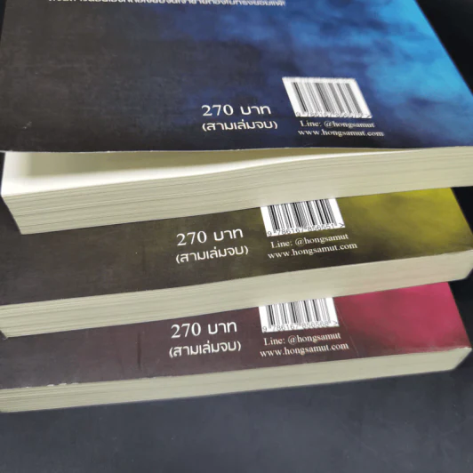 นิยายจีนแปล เต้าหู้ไซซี 3 เล่มจบ - Yidujunhua รูปที่ 14