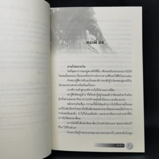 นิยายจีนแปล เต้าหู้ไซซี 3 เล่มจบ - Yidujunhua รูปที่ 12