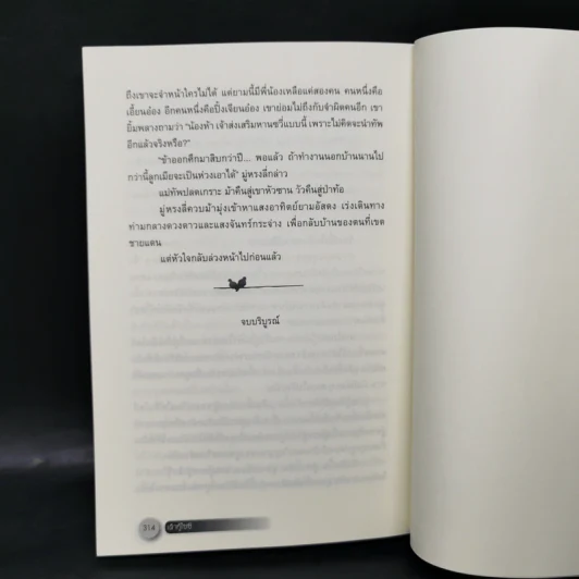 นิยายจีนแปล เต้าหู้ไซซี 3 เล่มจบ - Yidujunhua รูปที่ 13