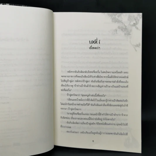 พบรักท่านแม่ทัพ 4 เล่มจบ - Ming Yue Ting Feng รูปที่ 14