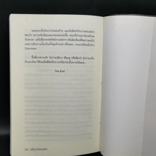 ซีรีส์สายลับจับแอ๊บ 3 เล่ม รูปที่ 13