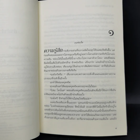 ชุดเคหาสน์รัตติกาล House of Night Series 8 เล่ม - พี.ซี. คาสต์, คริสติน คาสต์ รูปที่ 17