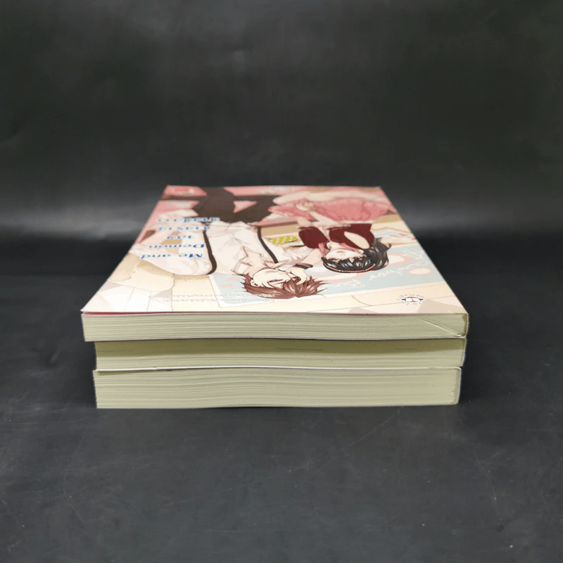 นิยายแจ่มใสเซ็ต Angel and Demon 3 เล่ม - ลูกชุบ รูปที่ 5