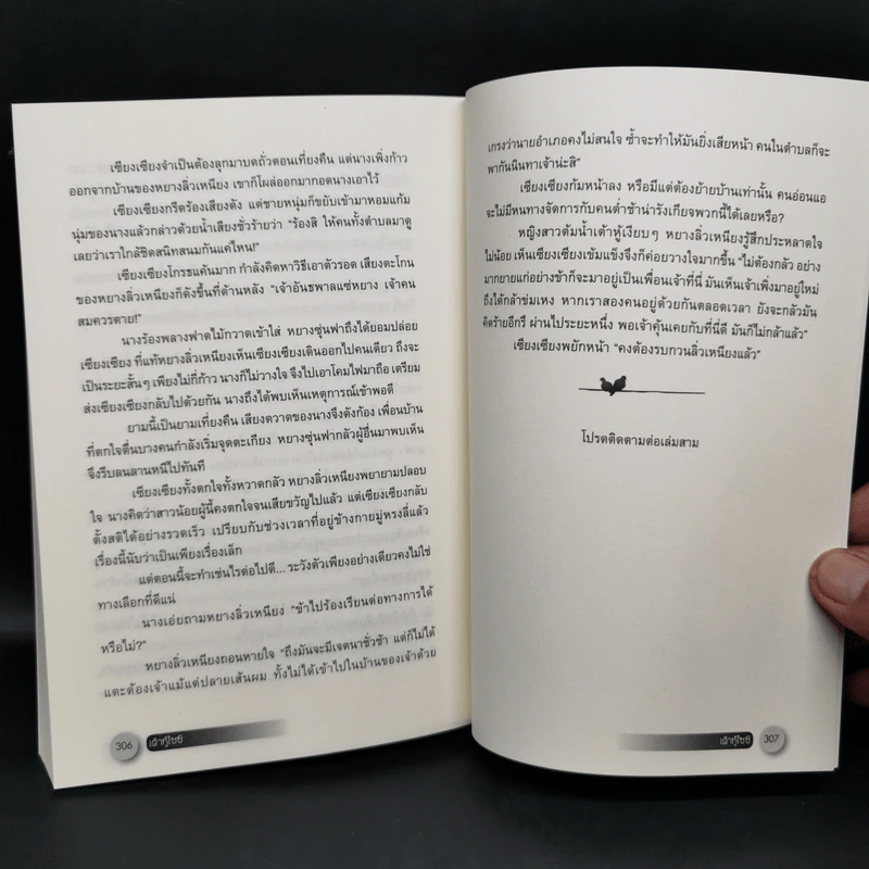 นิยายจีนแปล เต้าหู้ไซซี 3 เล่มจบ - Yidujunhua รูปที่ 11