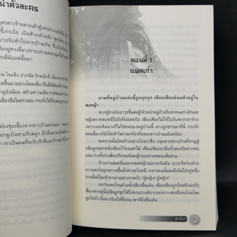 นิยายจีนแปล เต้าหู้ไซซี 3 เล่มจบ - Yidujunhua รูปที่ 8