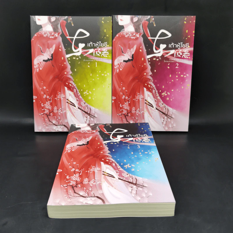 นิยายจีนแปล เต้าหู้ไซซี 3 เล่มจบ - Yidujunhua รูปที่ 1