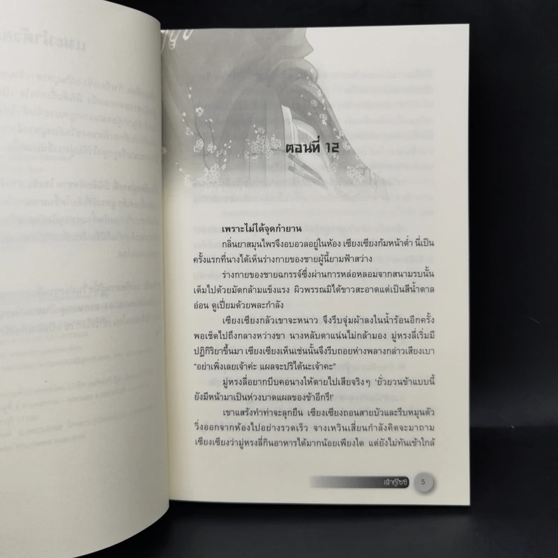 นิยายจีนแปล เต้าหู้ไซซี 3 เล่มจบ - Yidujunhua รูปที่ 10