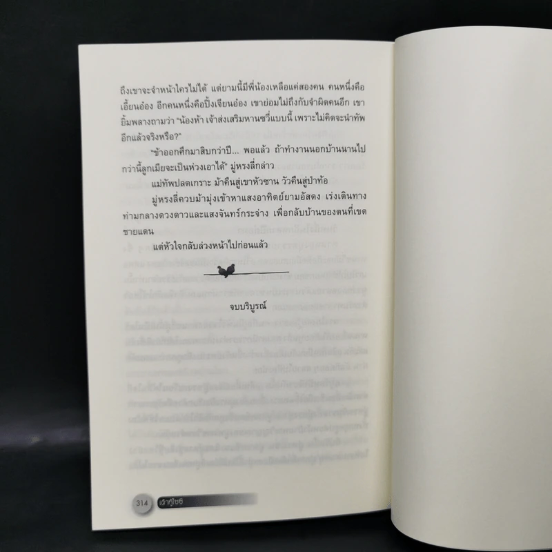 นิยายจีนแปล เต้าหู้ไซซี 3 เล่มจบ - Yidujunhua รูปที่ 13
