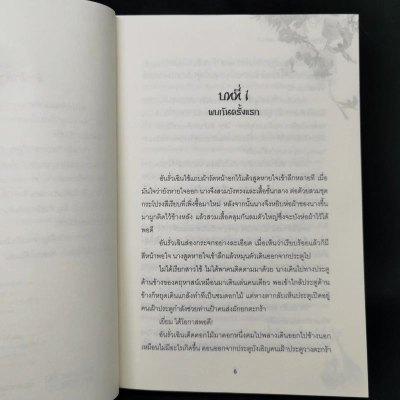 พบรักท่านแม่ทัพ 4 เล่มจบ - Ming Yue Ting Feng รูปที่ 8