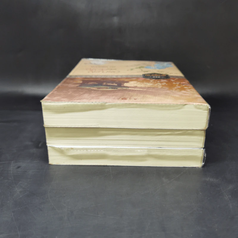 ซีรีส์ลูกผู้ชาย 3 เล่ม ฝากรักไว้ที่ปลายรุ้ง + สายใยปรารถนา + อรุณรุ่งแห่งหัวใจ รูปที่ 5