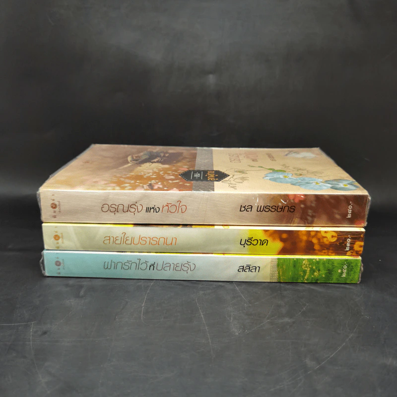 ซีรีส์ลูกผู้ชาย 3 เล่ม ฝากรักไว้ที่ปลายรุ้ง + สายใยปรารถนา + อรุณรุ่งแห่งหัวใจ รูปที่ 2