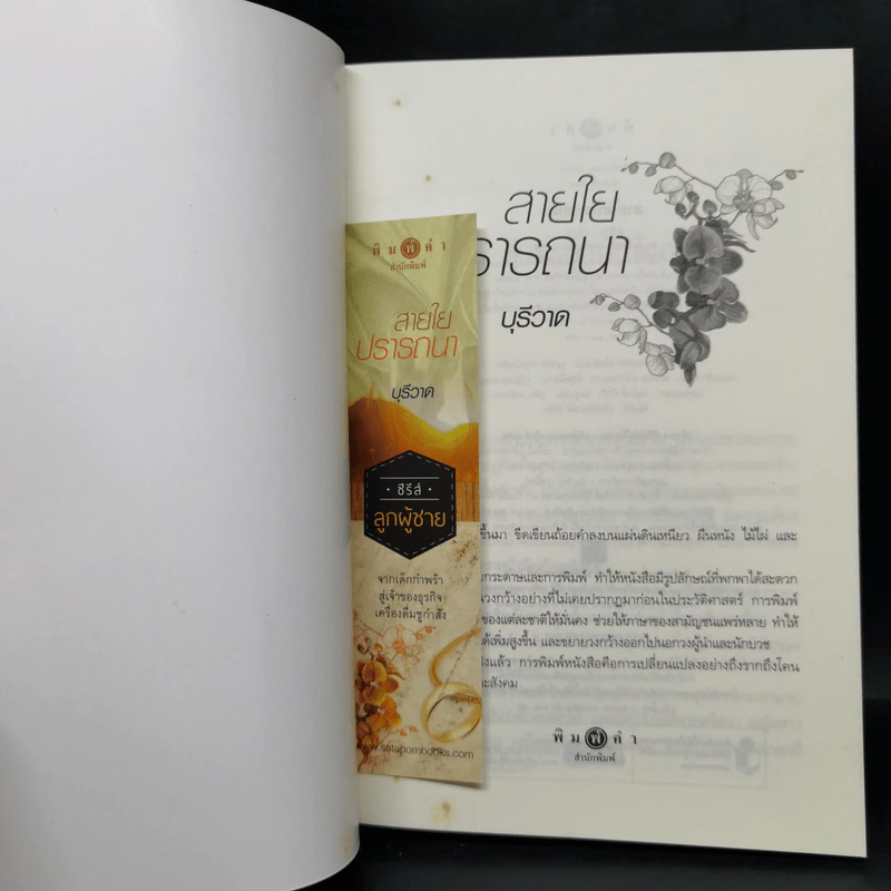 ซีรีส์ลูกผู้ชาย 3 เล่ม ฝากรักไว้ที่ปลายรุ้ง + สายใยปรารถนา + อรุณรุ่งแห่งหัวใจ รูปที่ 11