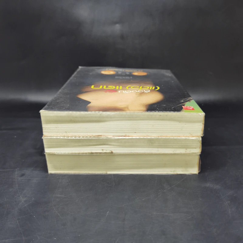 ซีรีส์สายลับจับแอ๊บ 3 เล่ม รูปที่ 5