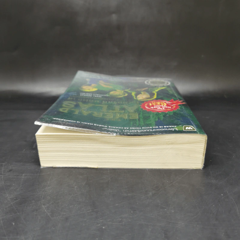 ดิ เอเมอรัลด์ แอตลาส แผนที่มรกตมนตรา มหาคัมภีร์บุพกาล เล่ม 1 - จอห์น สตีเฟนส์ รูปที่ 6