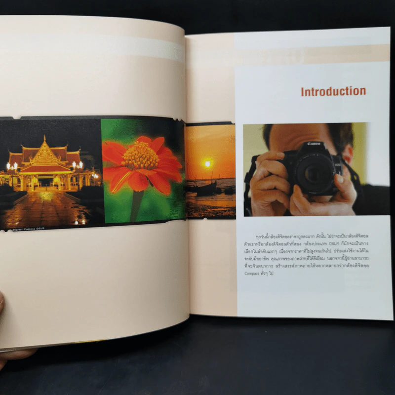Basic in DSLR Photography รูปที่ 14