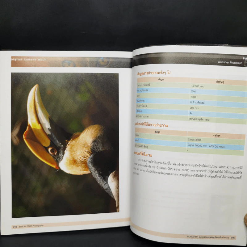 Basic in DSLR Photography รูปที่ 16