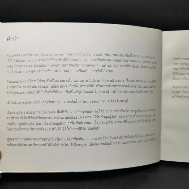 สมาธิง่ายๆในชีวิตประจำวัน - แมทธิว จอห์นสโตน รูปที่ 10
