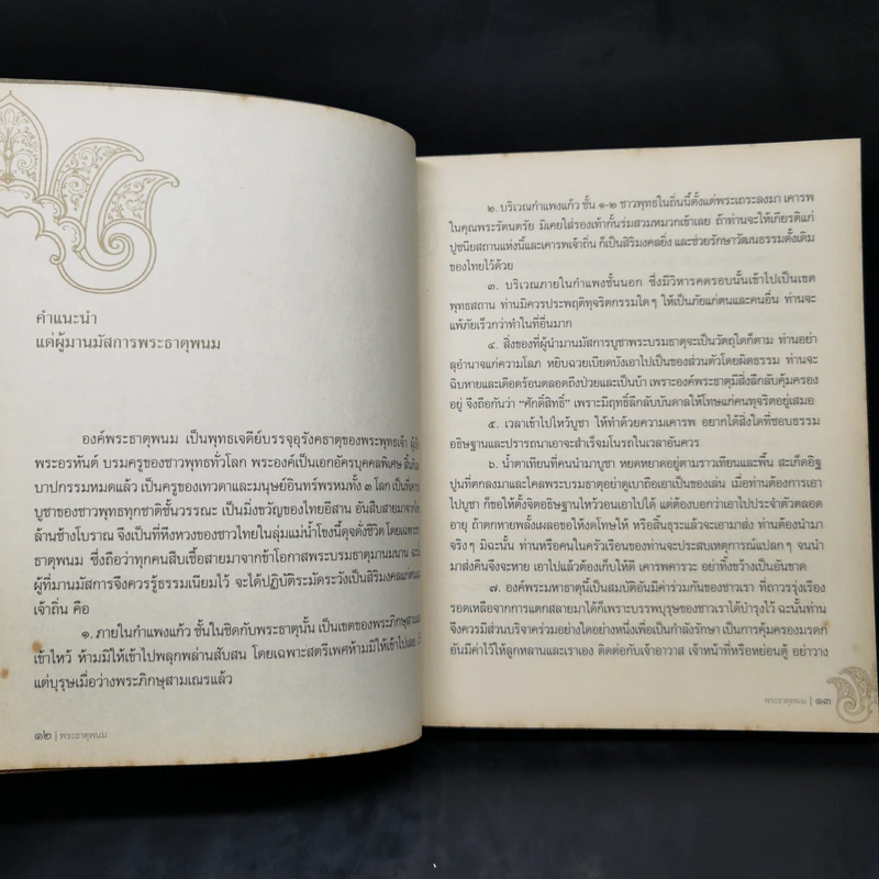 พระธาตุพนม จอมเจดีย์สองฝั่งโขง รูปที่ 12