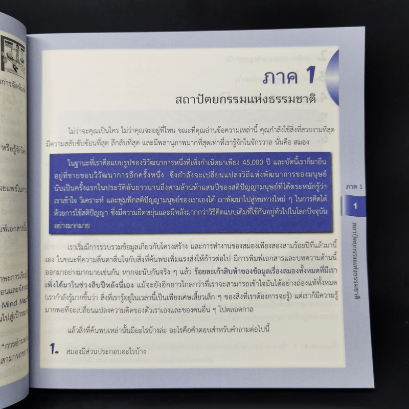 คัมภีร์ Mind Map - โทนี บูซาน รูปที่ 15