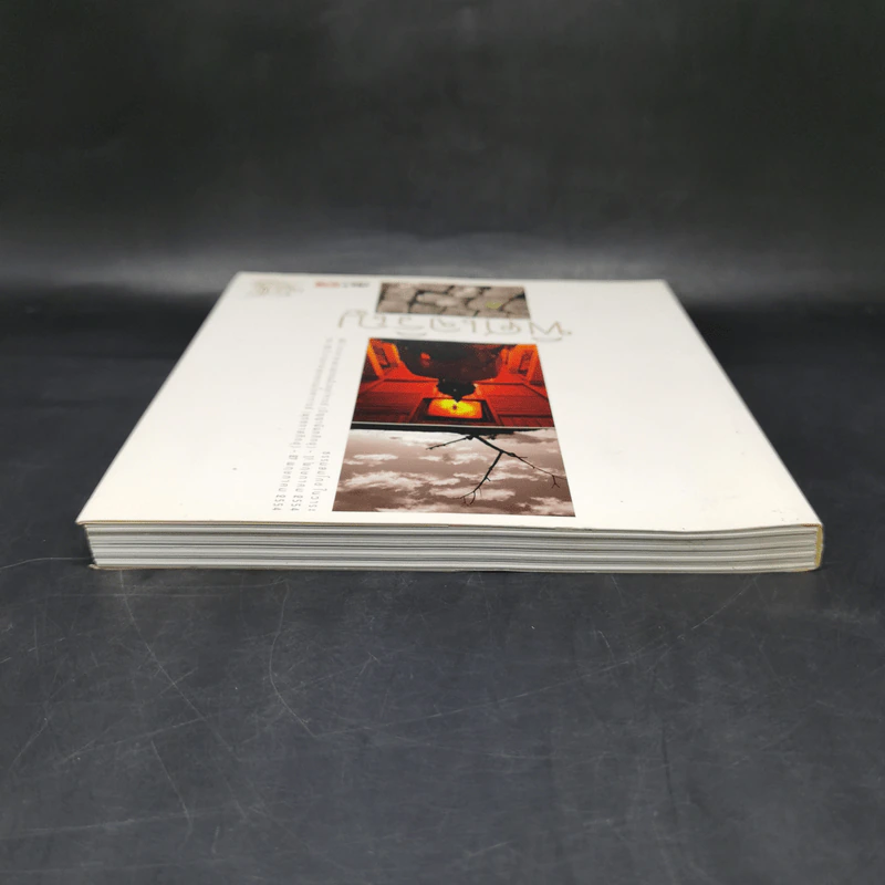 พิศเจริญ หนังสือภาพและอมตธรรมแห่งสองศรีพระศาสนา รูปที่ 6