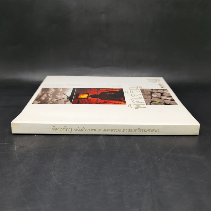 พิศเจริญ หนังสือภาพและอมตธรรมแห่งสองศรีพระศาสนา รูปที่ 3
