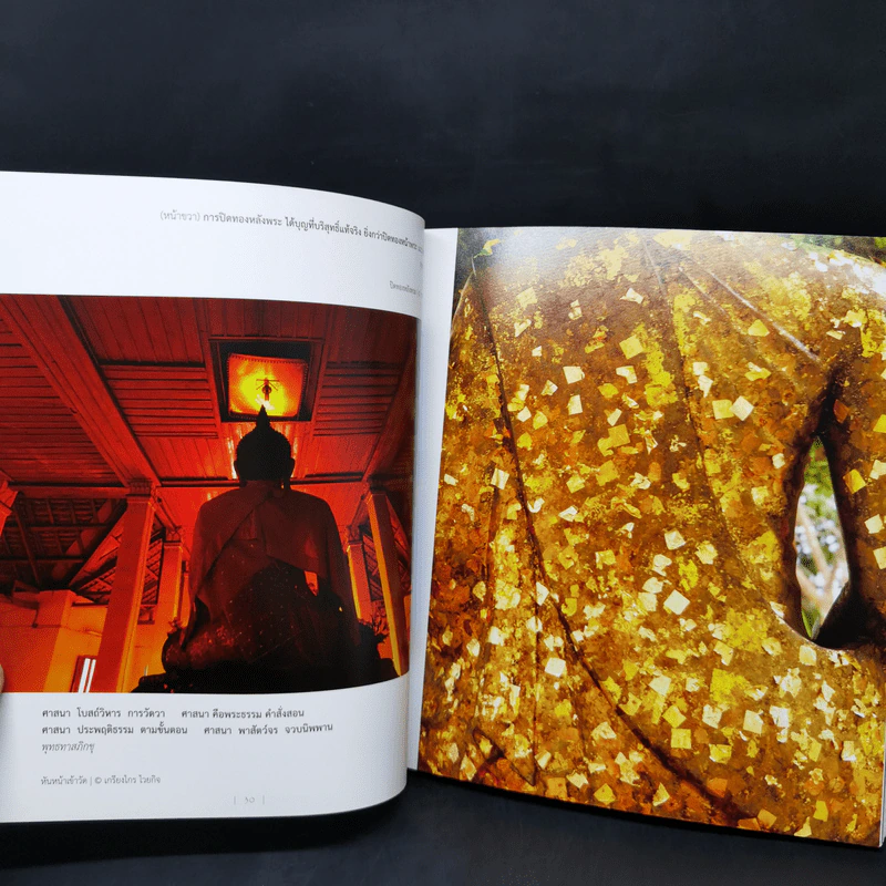 พิศเจริญ หนังสือภาพและอมตธรรมแห่งสองศรีพระศาสนา รูปที่ 13