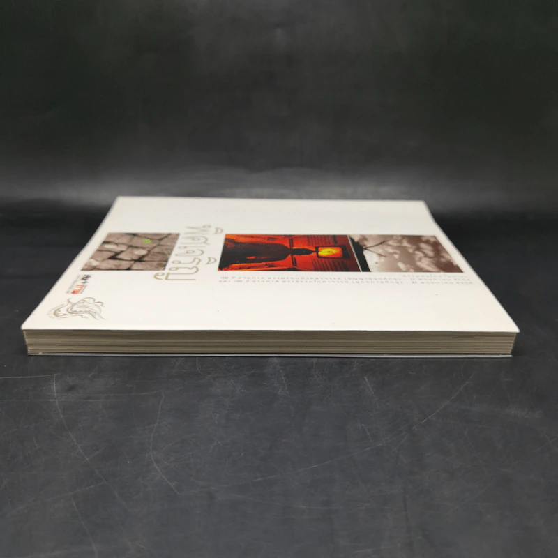 พิศเจริญ หนังสือภาพและอมตธรรมแห่งสองศรีพระศาสนา รูปที่ 5