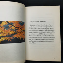 โตเกียว โตเกียว ไม่รู้จบ - Anchalee รูปที่ 12