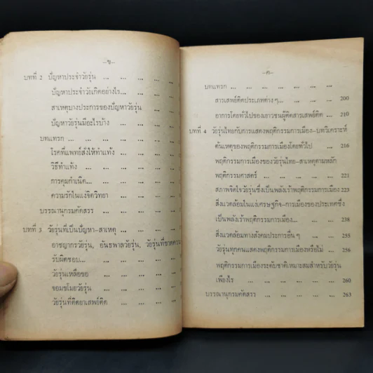 วัยรุ่นไทย ภาพสะท้อนจากมุมหนึ่ง - ศรีเรือน แก้วกังวาล รูปที่ 13