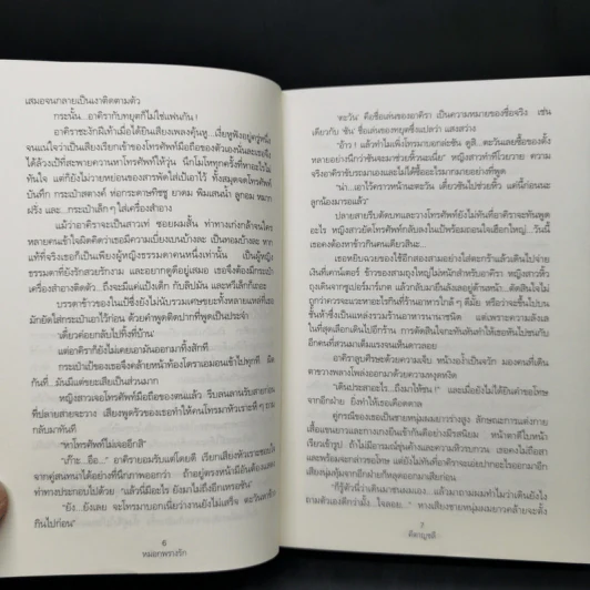 หมอกพรางรัก - คีตาญชลี รูปที่ 10