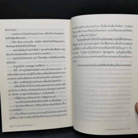 บ้านวิเศษของพ่อมดนอร์แลนด์ (House of Many Ways) - Diana Waynne Jones รูปที่ 13