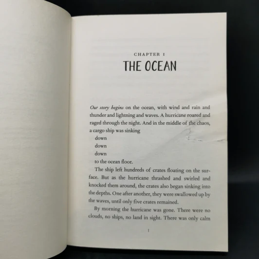 The Wild Robot - Peter Brown รูปที่ 10