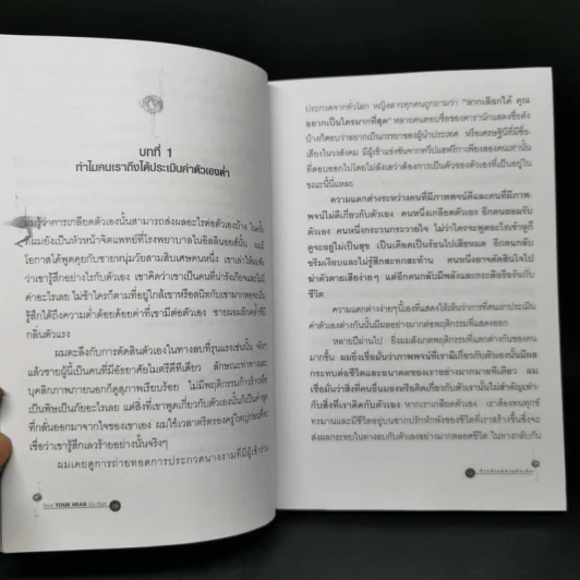 Hold Your Head Up High ก้าวข้ามความคิดเดิม - ดร.พอล ฮอค เขียน, นราธิป นัยนา รูปที่ 11