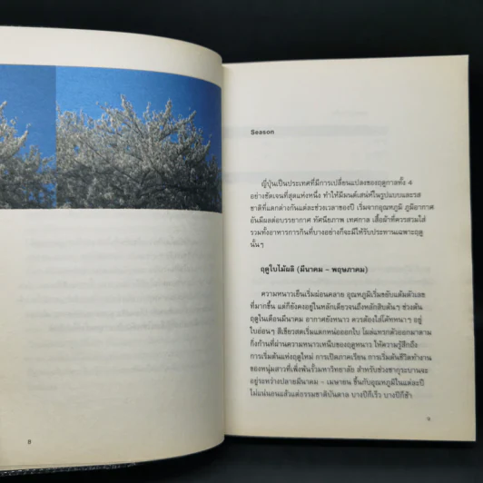 โตเกียว โตเกียว ไม่รู้จบ - Anchalee รูปที่ 10