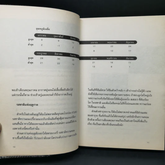 โตเกียว โตเกียว ไม่รู้จบ - Anchalee รูปที่ 11