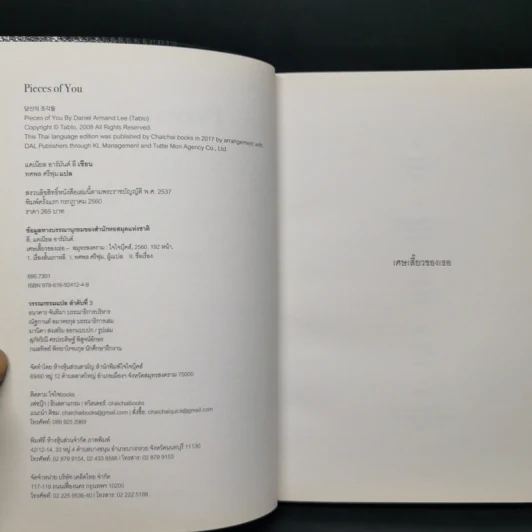 PIECES OF YOU เศษเสี้ยวของเธอ - Tablo รูปที่ 8