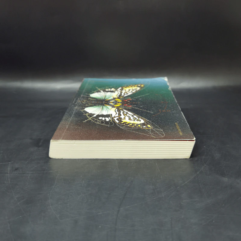 คนวัดโลก : Die Vermessung Der Weit - Daniel Kehlmann (ดานีเอล เคห์ลมันน์) รูปที่ 4
