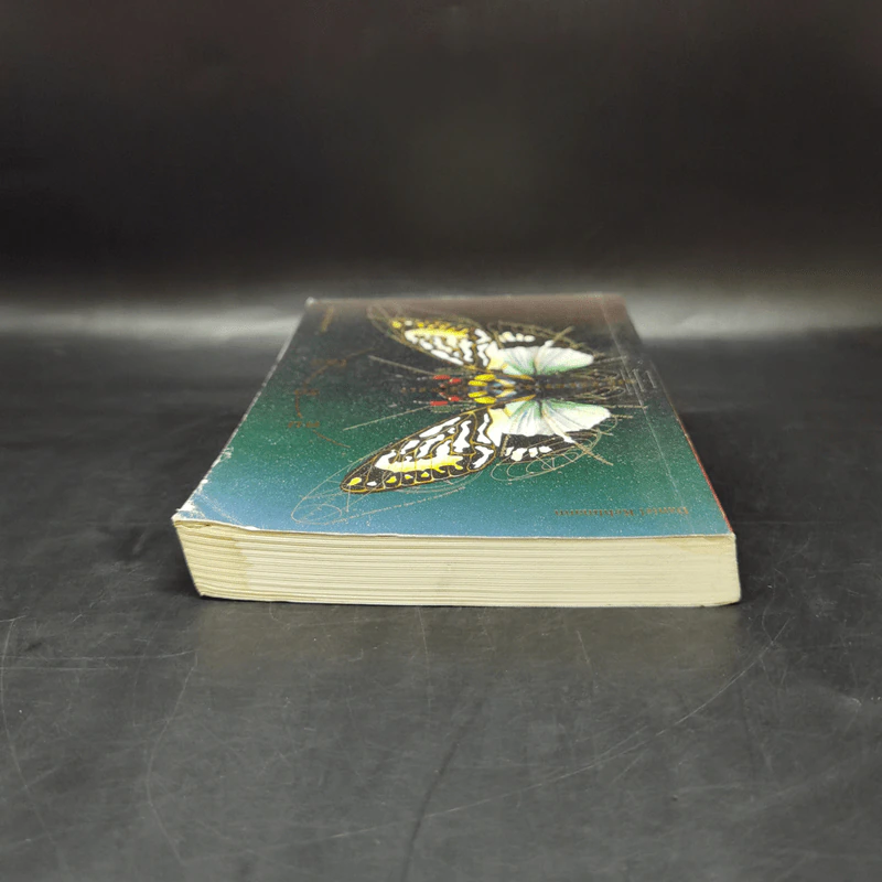 คนวัดโลก : Die Vermessung Der Weit - Daniel Kehlmann (ดานีเอล เคห์ลมันน์) รูปที่ 6