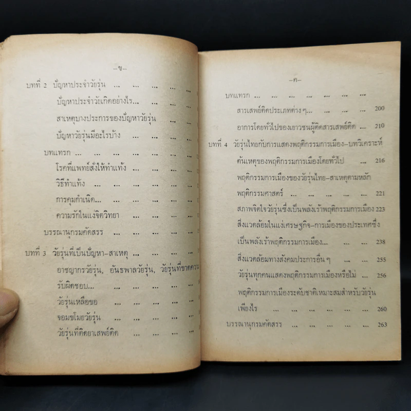 วัยรุ่นไทย ภาพสะท้อนจากมุมหนึ่ง - ศรีเรือน แก้วกังวาล รูปที่ 13