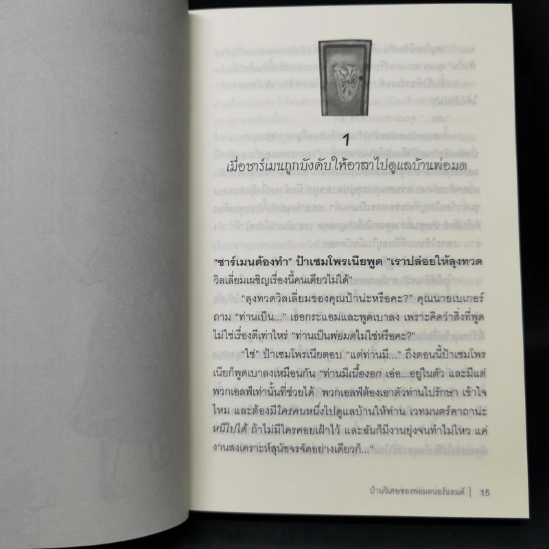 บ้านวิเศษของพ่อมดนอร์แลนด์ (House of Many Ways) - Diana Waynne Jones รูปที่ 12