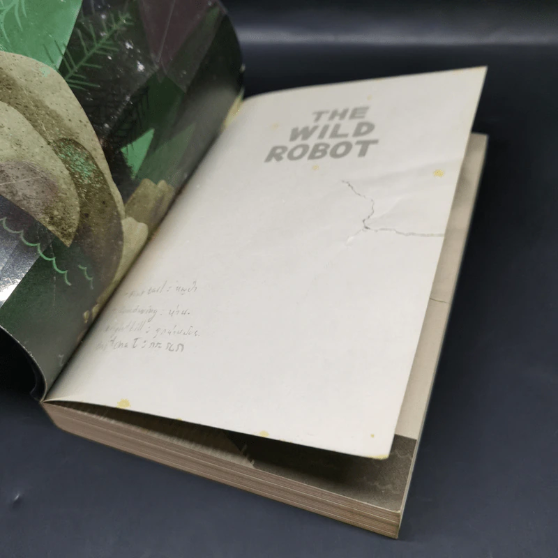 The Wild Robot - Peter Brown รูปที่ 8