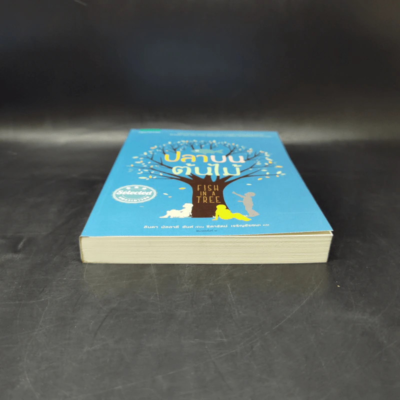 ปลาบนต้นไม้ - Lynda Mullaly Hunt (ลินดา มัลลาลี ฮันต์) รูปที่ 4