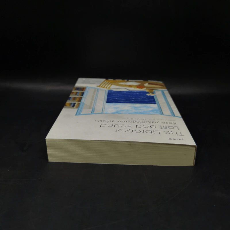 ห้องสมุดแห่งการสูญหายและค้นพบ The Library of Lost and Found - ฟาเอดรา แพทริก รูปที่ 6