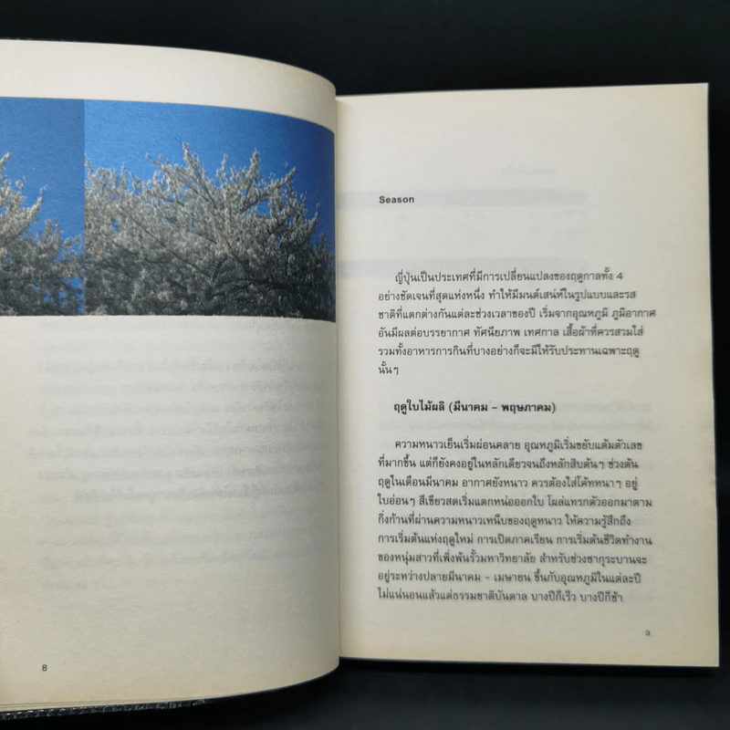 โตเกียว โตเกียว ไม่รู้จบ - Anchalee รูปที่ 10